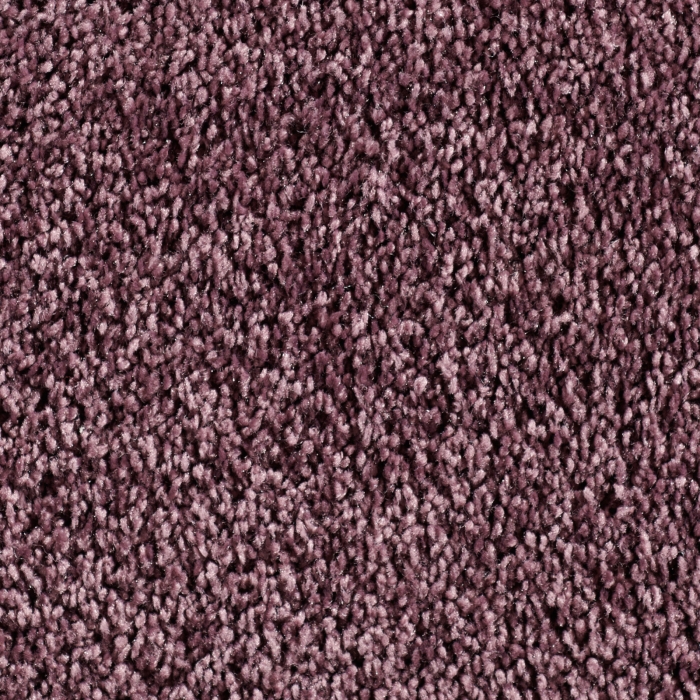 Frisé - Manduro - 025